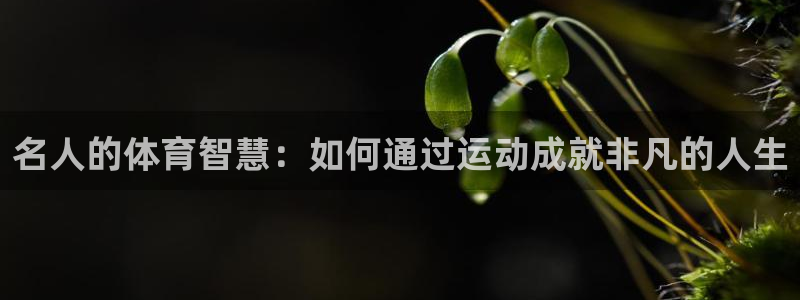 红蓝体育骗了多少人：名人的体育智慧：如何通过运动成就非凡的人生