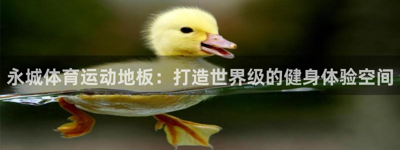 红蓝体育正规吗：永城体育运动地板：打造世界级的健身体验空间