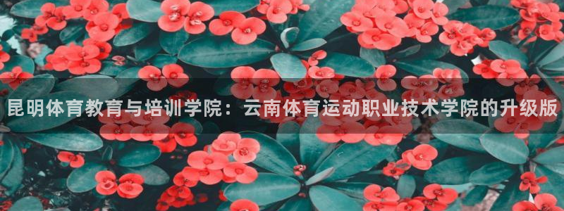 红蓝体育提不出款：昆明体育教育与培训学院：云南体育运动职业技术学院的升级版