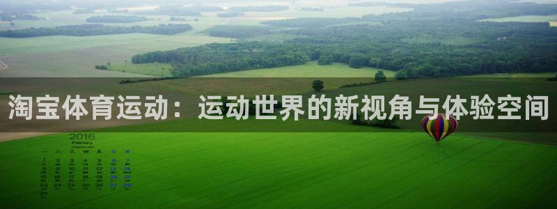 红蓝体育官网入口APP下载