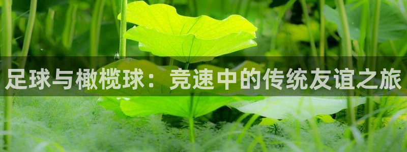 红蓝体育是正规还是假：足球与橄榄球：竞速中的传统友谊之旅