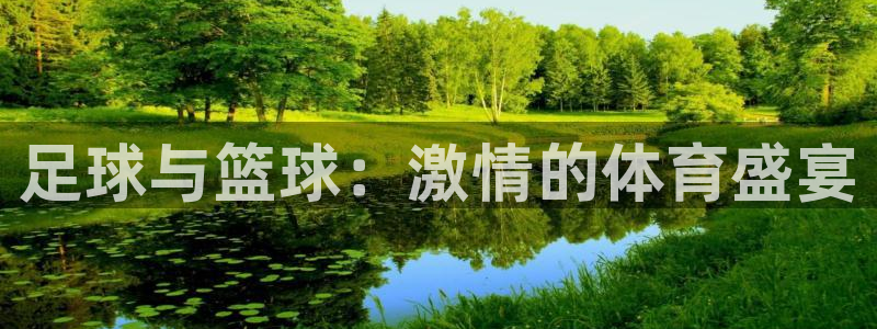红蓝体育APP官方免费下载：足球与篮球：激情的体育盛宴