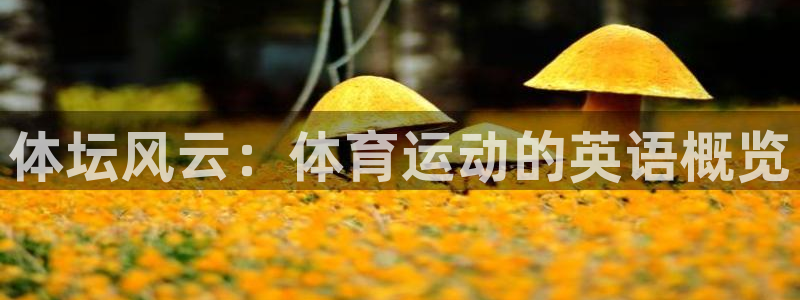 红蓝体育网页版：体坛风云：体育运动的英语概览